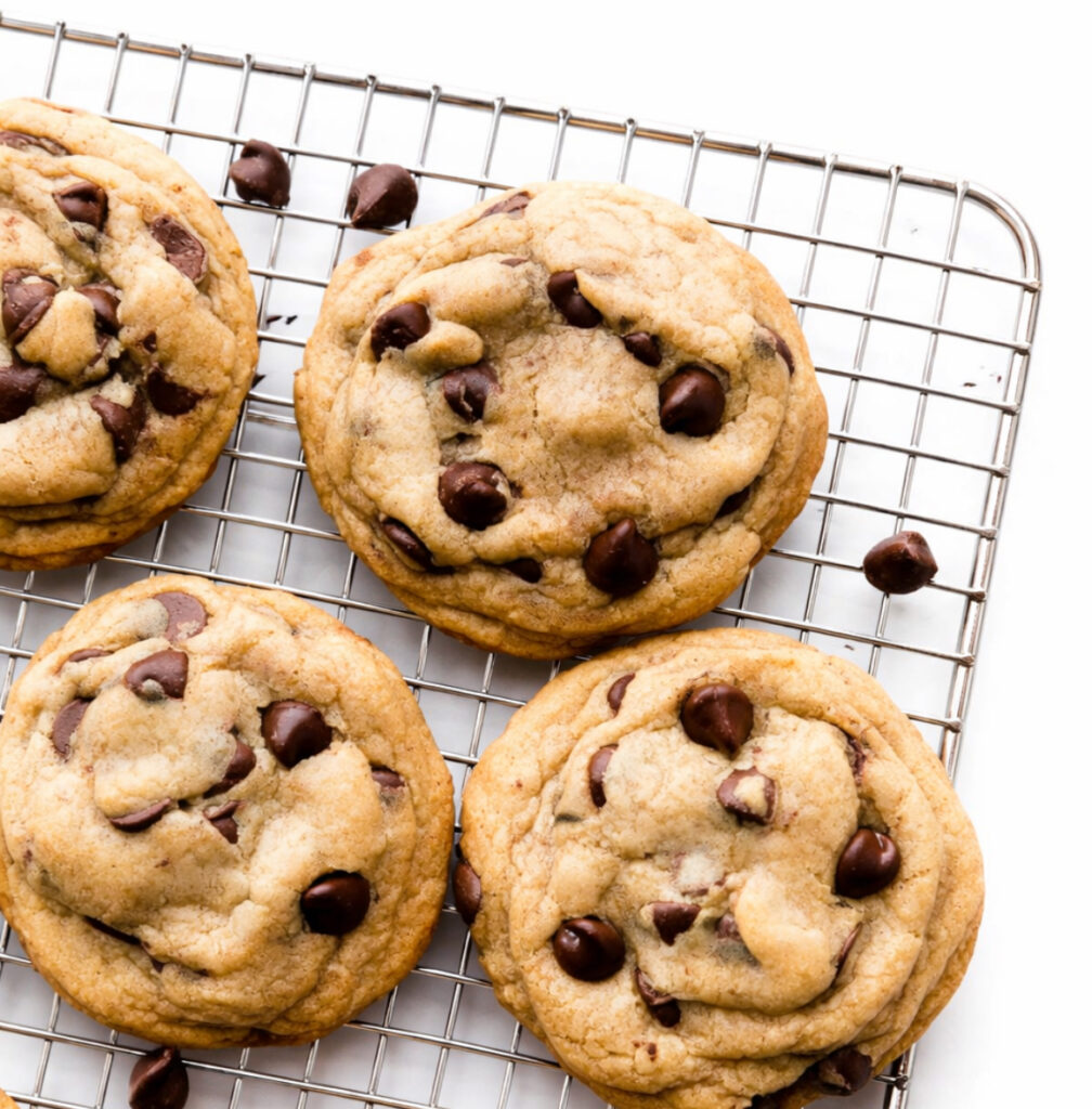 Chocolate Chip